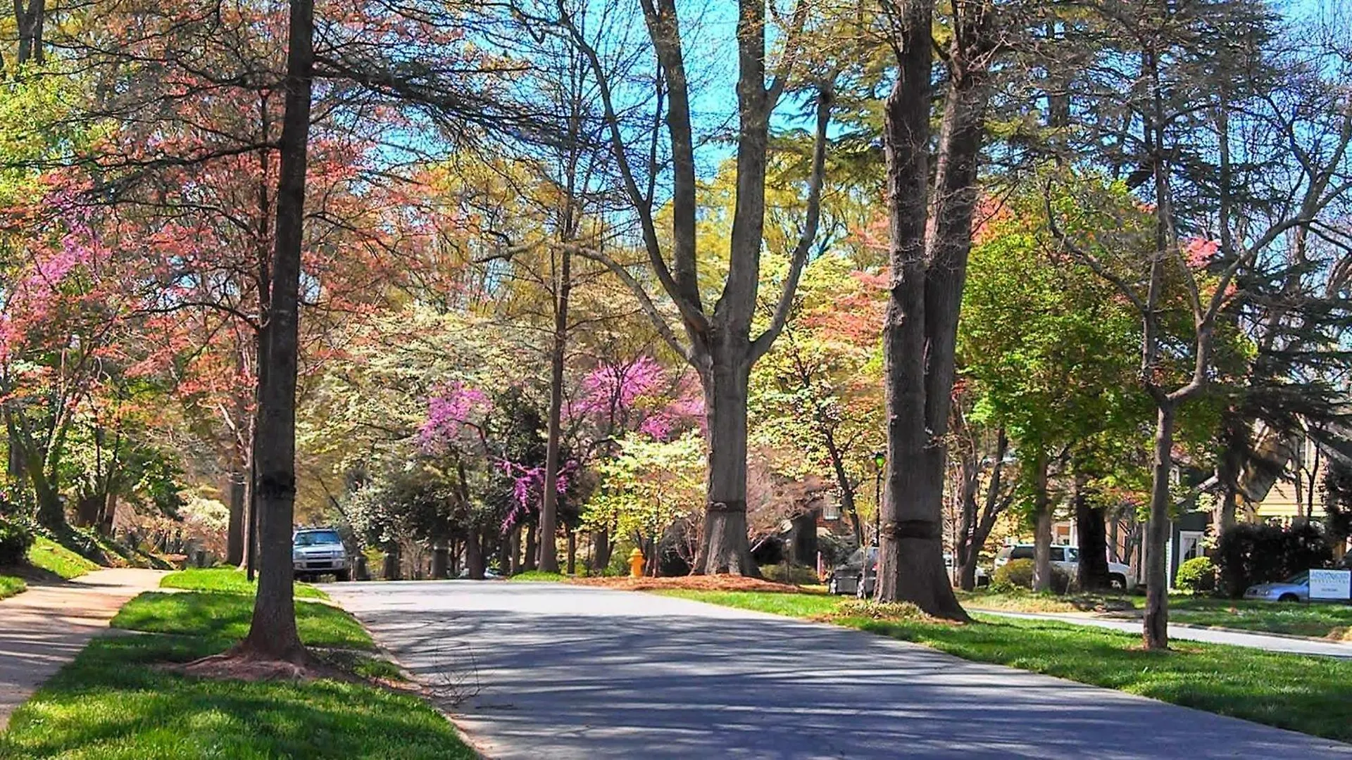 Holiday home Experience Myers Park In Style Villa Charlotte United States